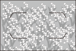 notion image