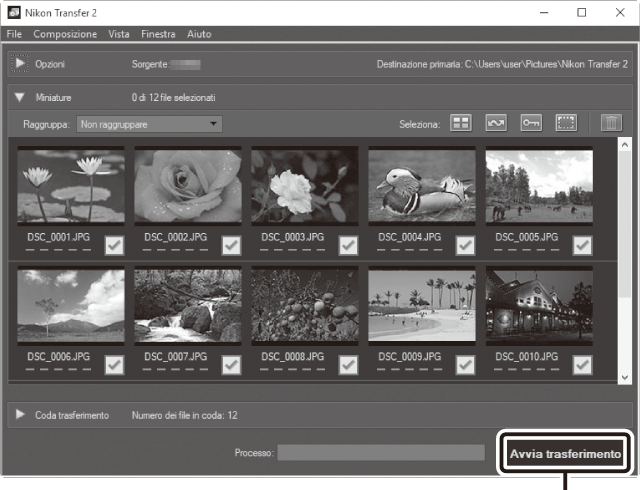 programma per scaricare foto da nikon